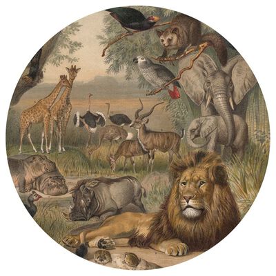 WallArt Tapetai Animals of Africa, 190cm, apskriti