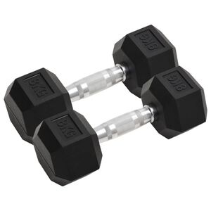 vidaXL Svarmenys, 2vnt., 8kg, viso liejinis geležis