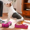 FitPAWS Balansinės platformos Mini K9FITbone, 2vnt., 29x16,5x6cm