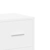 vidaXL &Scaron;oninės spintelės, 2vnt., baltos, 60x31x84cm, apdirbta mediena