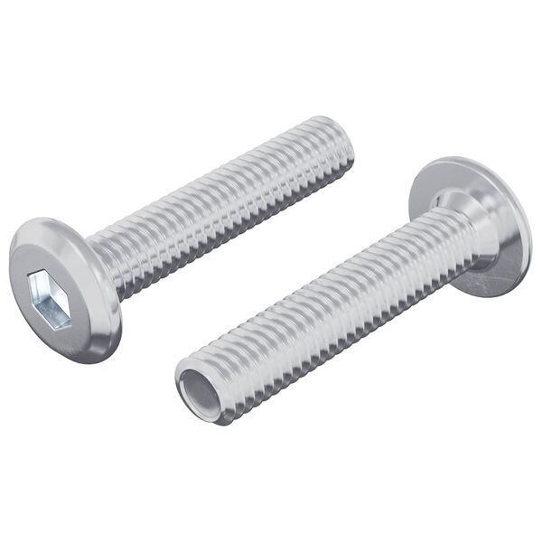 vidaXL Užrakinimo varžtas Paprastas 2 pcs Sidabro M6 x 30 mm Plienas