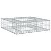 vidaXL Gabioninė pakelta lova 80 x 80 x 20 cm Cinkuota plienas Sidabro