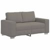 vidaXL Dvivietė sofa, &scaron;viesiai pilka, 160x77x82 cm, velvetas, audinys