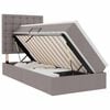 vidaXL Lova su daiktų laikymo vieta ir LED su LED Taupe 90 x 200 cm