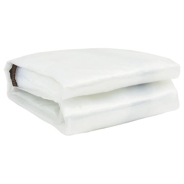 vidaXL Skaidrus brezentas su ąselėmis 5x12 m polietilenas