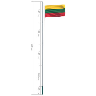 vidaXL Lietuvos vėliava su stiebu, aliuminis, 6,2m