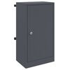 vidaXL mailbox su saugykla Antracitas 30 x 20 x 55 cm Plienas