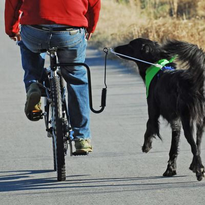 SPRINGER Laikiklio šuniui prie dviračio rinkinys
