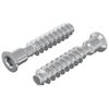 vidaXL Galvutės varžtas 2 vnt. Sidabrinė M7 x 40 mm Plienas