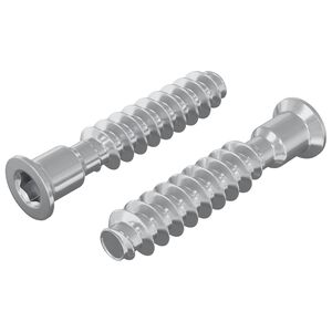 vidaXL Galvutės varžtas 2 vnt. Sidabrinė M7 x 40 mm Plienas
