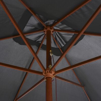 vidaXL Lauko skėtis su mediniu stulpu, 200x300cm, antracito sp.