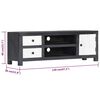 vidaXL TV spintelė, pilka/balta, 120x30x40cm, mango masyvas, raižyta