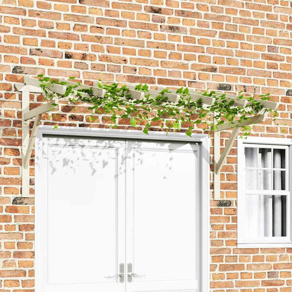 vidaXL Durų stogelis, 200x100x100cm, pu&scaron;ies medienos masyvas