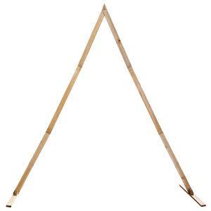 vidaXL Vestuvinis Arklys &Scaron;viesiai rudas 202 x 95 x 254 cm