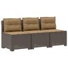 vidaXL 3-vietė sodo sofa su pagalvėlėmis, Rattan i&scaron;vaizda PP