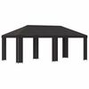 vidaXL Sodo Paviljonas 6 x 3 m Antracito Poliesteris ir plienas