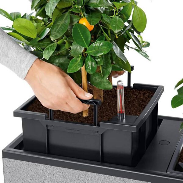 LECHUZA Lovelis TRIO Stone 30 ALL-IN-ONE, akmens pilkos spalvos