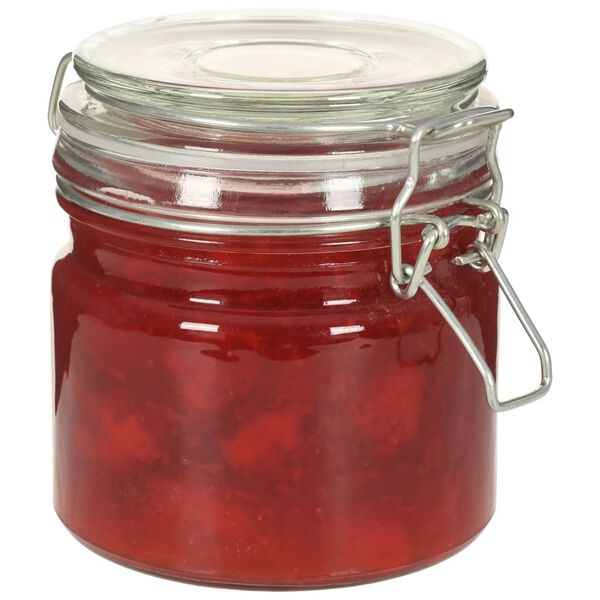 vidaXL Stiklainiai su užspaudžiamais dangteliais, 6 vnt., 500 ml