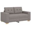 vidaXL Dvivietė sofa, pilkai pilka, 160x77x82 cm, audinys