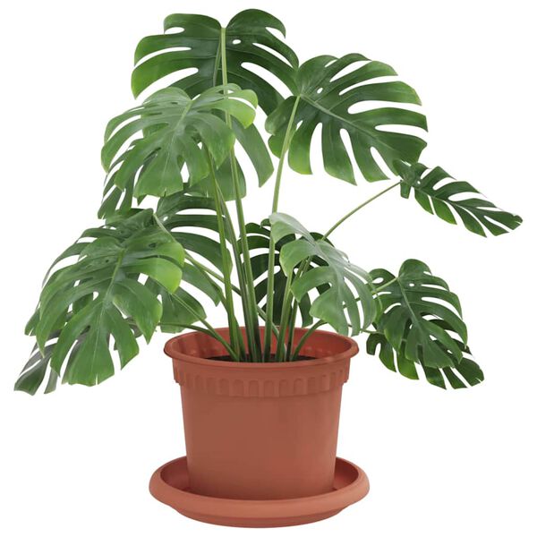 Rodomas prekėsprodukto vaizdas 3 i&scaron; 12