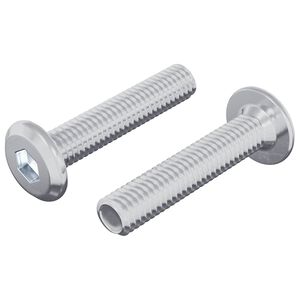 vidaXL Užrakinimo varžtas Paprastas 2 pcs Sidabro M6 x 30 mm Plienas