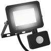 vidaXL LED prožektorius su jutikliu, &scaron;altos baltos spalvos, 20W