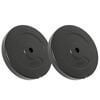 vidaXL Svoriai, 2vnt., cementas, 30kg