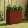 vidaXL Lovelis, 80x40x80cm, Corten plienas