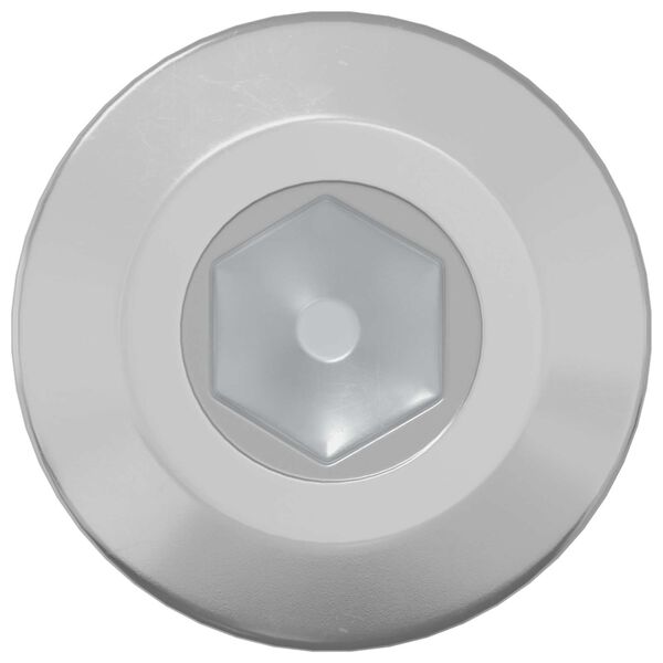 vidaXL Varžtas 12 pcs Sidabro M6 x 85 mm Plienas