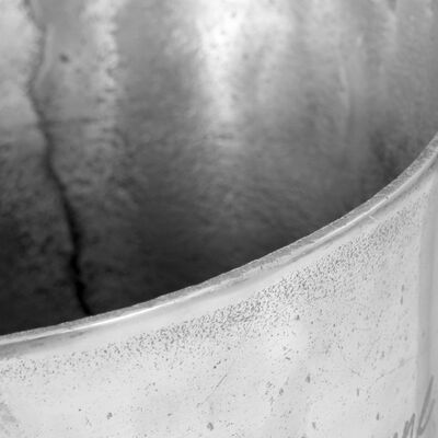 vidaXL Šampano atšaldymo indas, sidabr. sp., 39x29x71cm, aliuminis