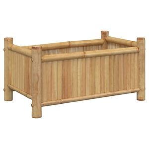 vidaXL Lovelis, 50x30x25cm, bambukas