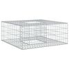 vidaXL Gabioninė pakelta lova 100 x 100 x 40 cm Cinkuota plienas