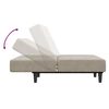 vidaXL Dvivietė sofa-lova, &scaron;viesiai pilkos spalvos, aksomas