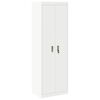 vidaXL Oppbevaringsskap Balta 60 x 40 x 180 cm Plienas