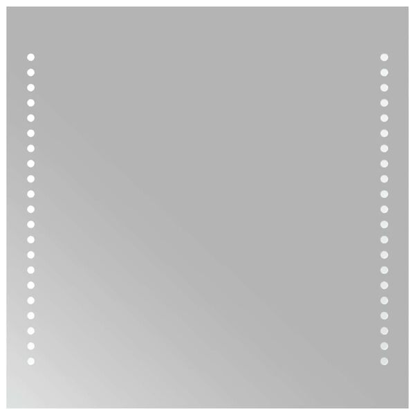 vidaXL Vonios kambario LED veidrodis, 40x40cm