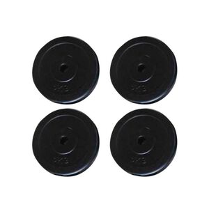 vidaXL Svoriai, 4 vnt., 20 kg