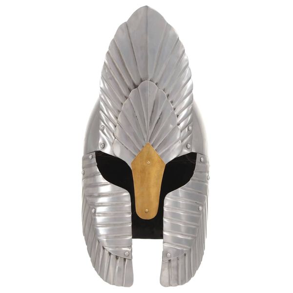 vidaXL Riterio šalmas, sidabrinis, plienas, fantastinis