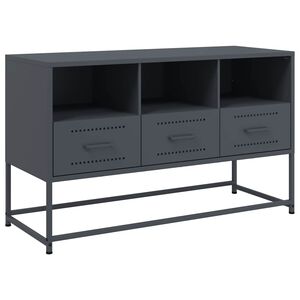 vidaXL Televizoriaus spintelė, antracito, 100,5x39x60,5cm, plienas