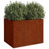 vidaXL Lovelis, 62x47x46cm, Corten plienas