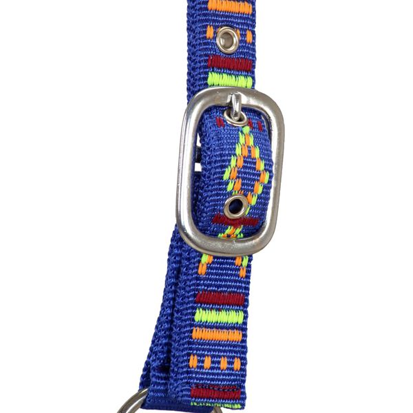 vidaXL Apynasriai žirgui, 2vnt., mėlyni, nailonas, cob dydžio