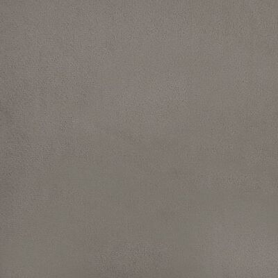 vidaXL Pagalvėlės, 2vnt., šviesiai pilkos spalvos, 40x40cm, aksomas