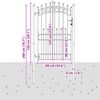 vidaXL Tvoros vartai su smailiais Juoda 100 x 200 cm