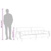 vidaXL Sofa-lova su pagalvėlėmis, &scaron;viesiai pilkos spalvos, aksomas