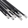 vidaXL Laido tvirtinimas 12 vnt. 4,6 x 800 mm Juoda