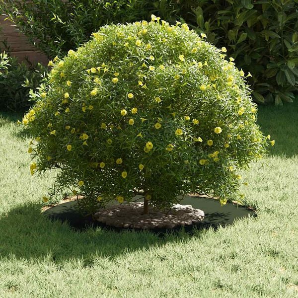 vidaXL tinkamas plok&scaron;tiems medžio žiedams 5 pcs Alyvuogių žalia