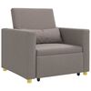 vidaXL I&scaron;traukiamas sofa-lova vienvietis Tortora audinys