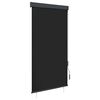 vidaXL Lauko roletas, antracito spalvos, 80x250cm