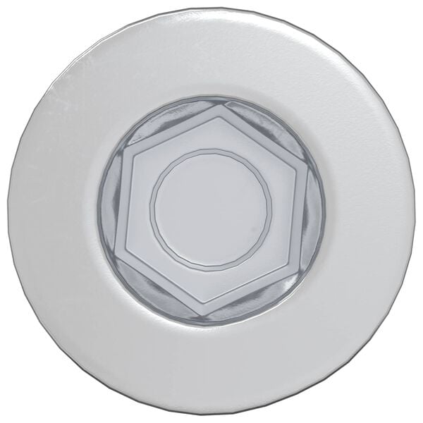 vidaXL Galvutės varžtas 12 pcs Sidabro M7 x 40 mm Plienas