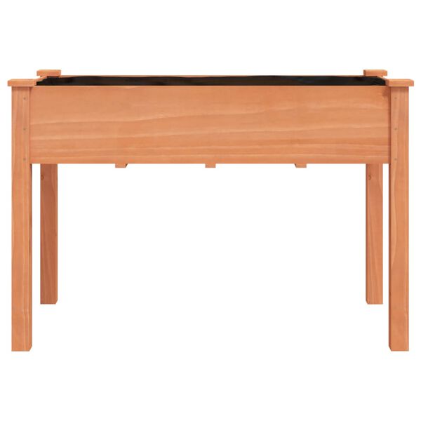 vidaXL Lovelis su įdėklu, rudas, 118x59x76cm, eglės medienos masyvas