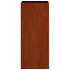 vidaXL Lovelis, 32x29x75cm, Corten plienas